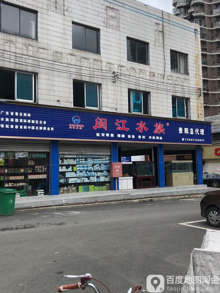 闽姜水族(贵阳总代理)