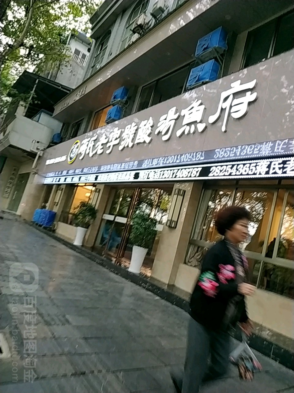 蒋氏老字号酸汤鱼府