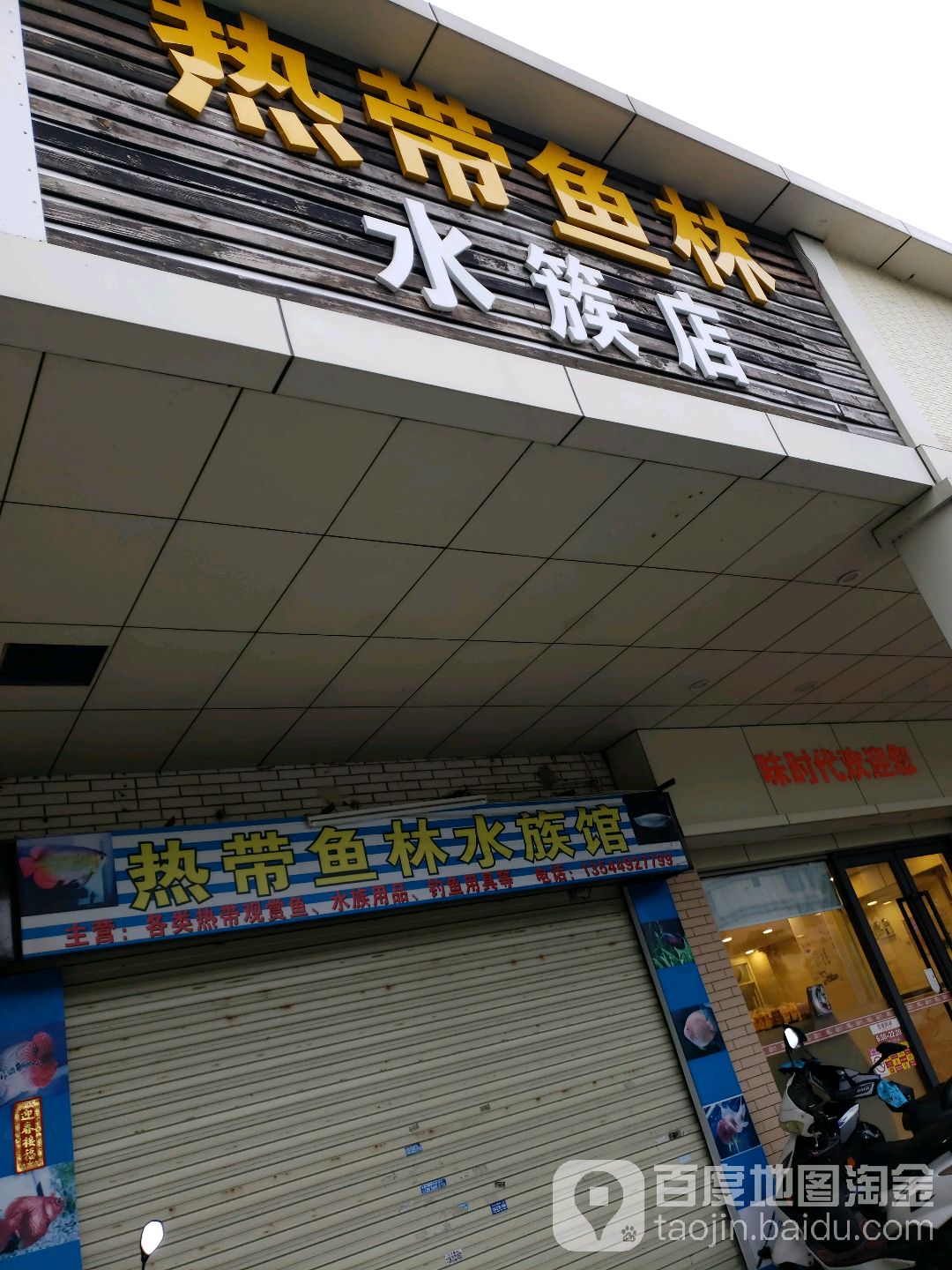 热带鱼林水簇店(水族店)