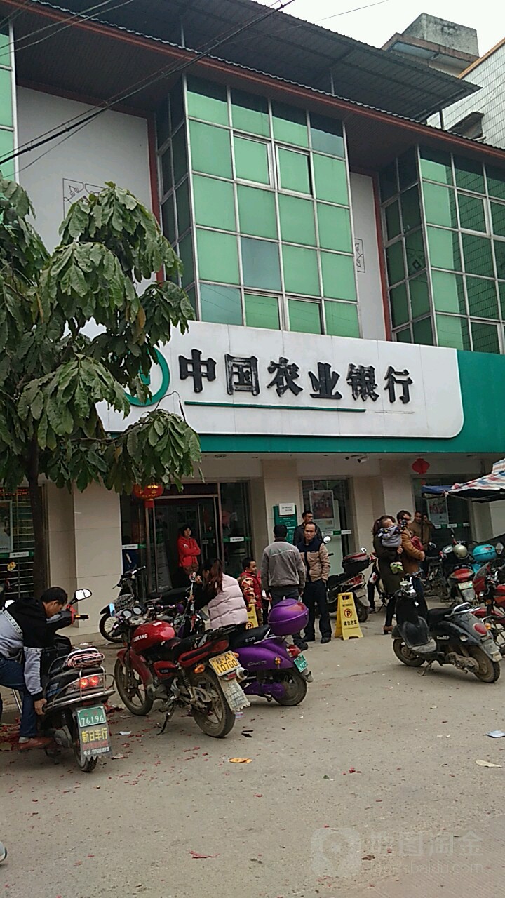 中國農業銀行(白圩營業廳)