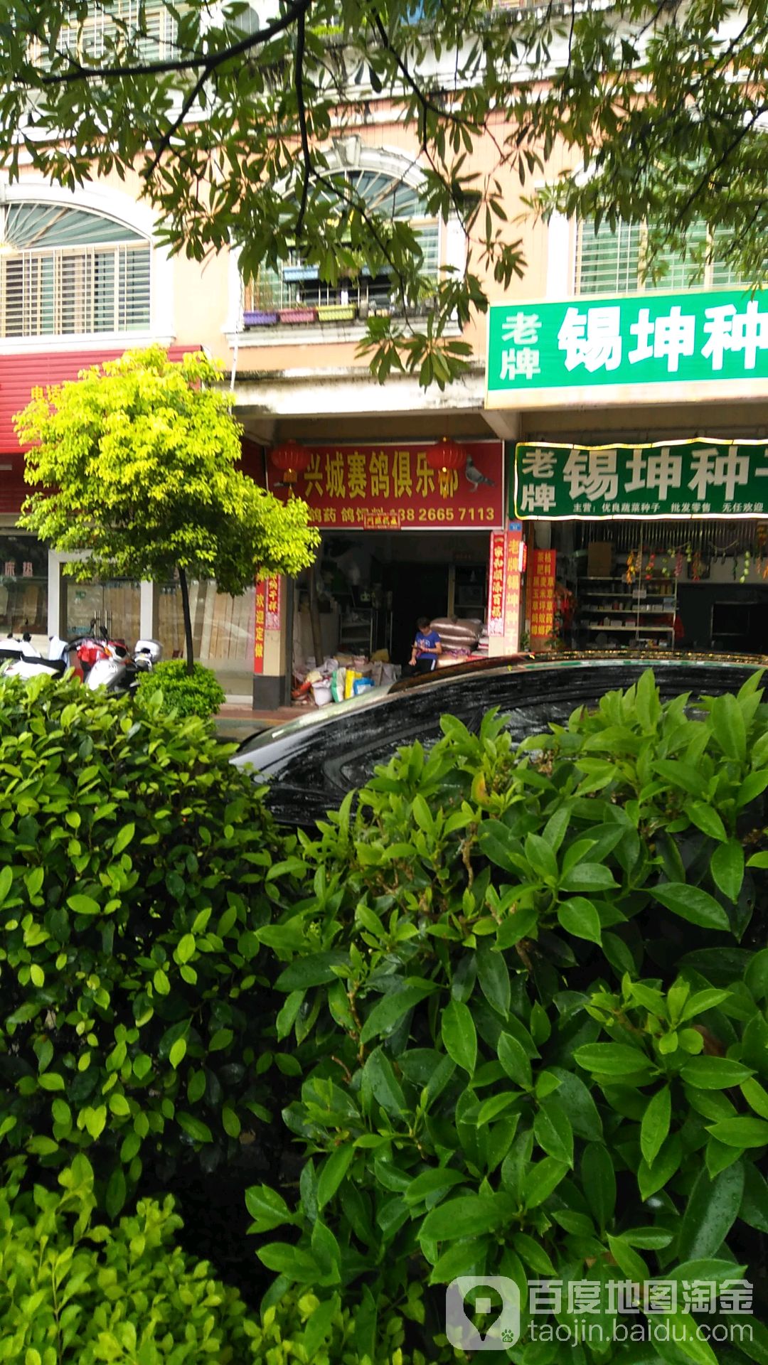 兴城塞鸽俱乐部