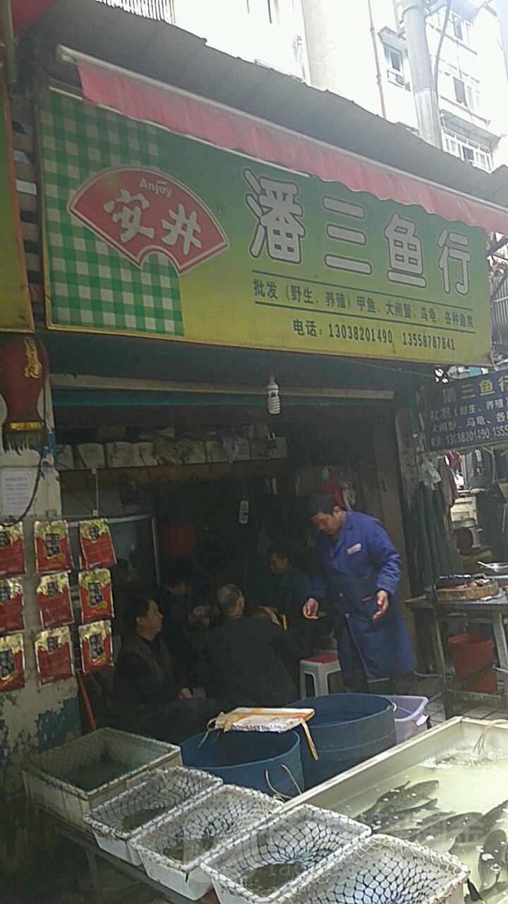 潘三鱼行