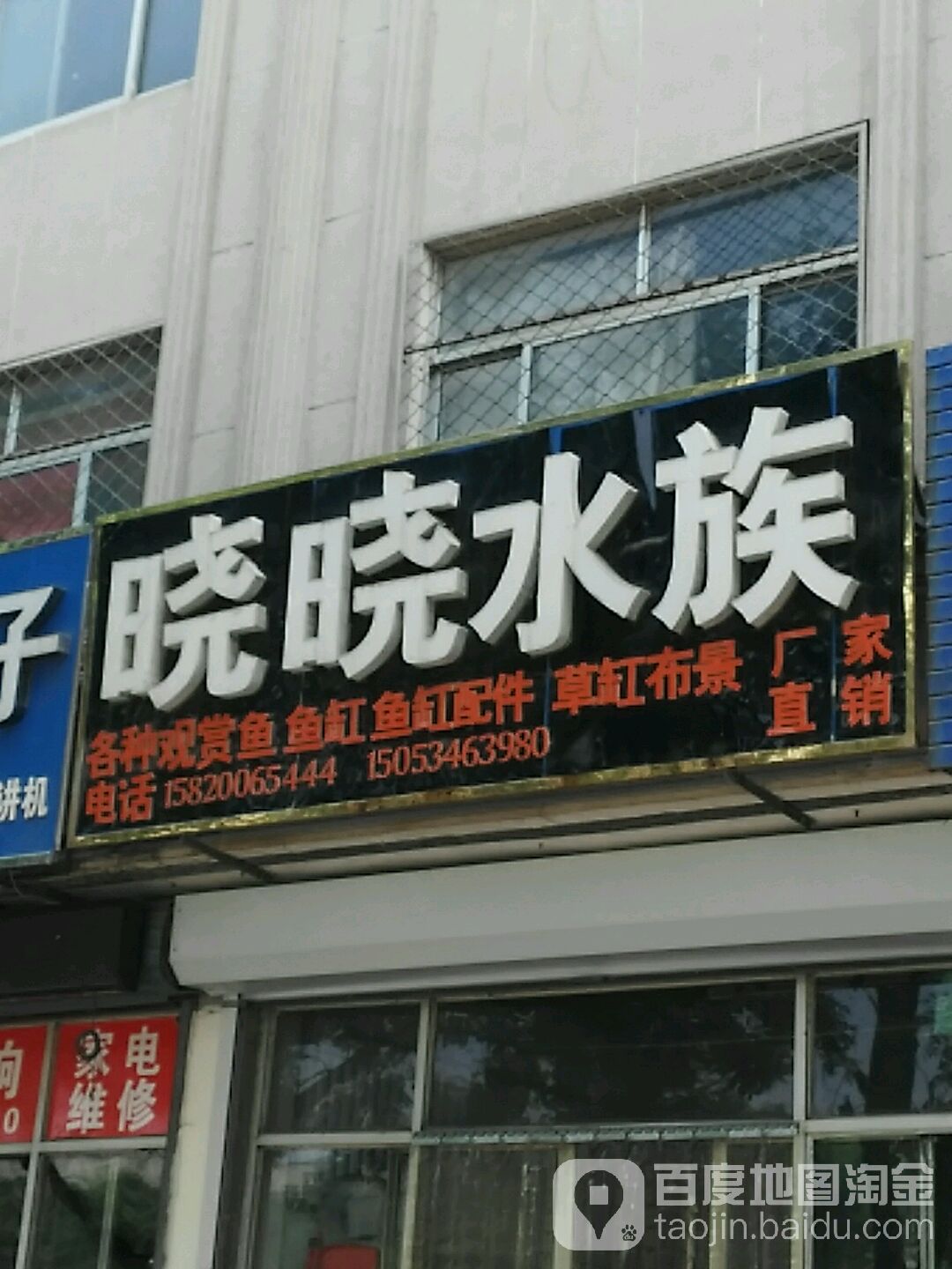 晓晓水族