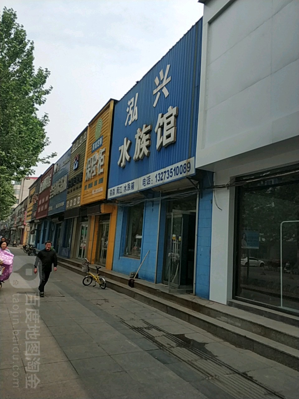 泓兴水族馆(燕春小区店)
