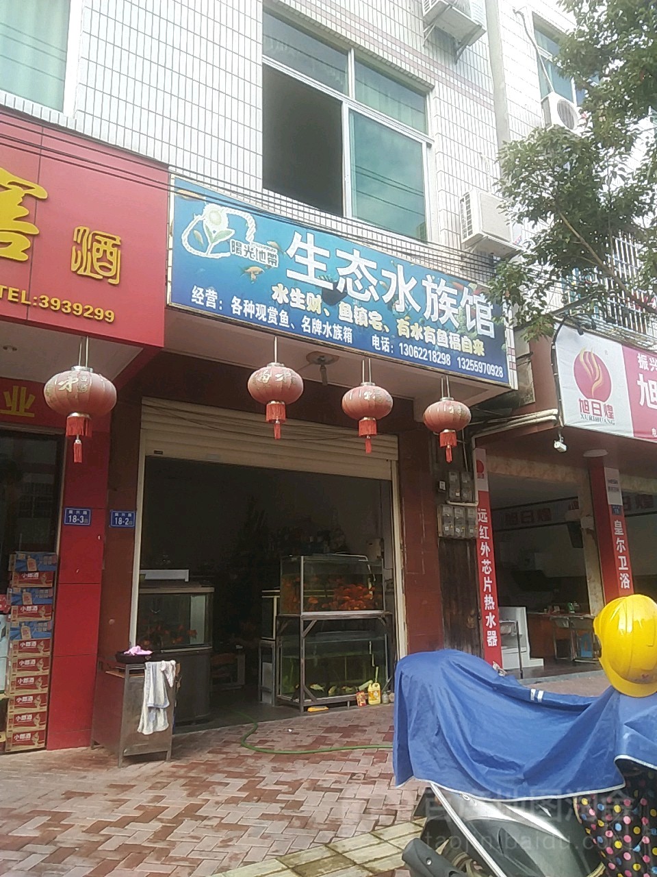 阳光地带生泰水族馆