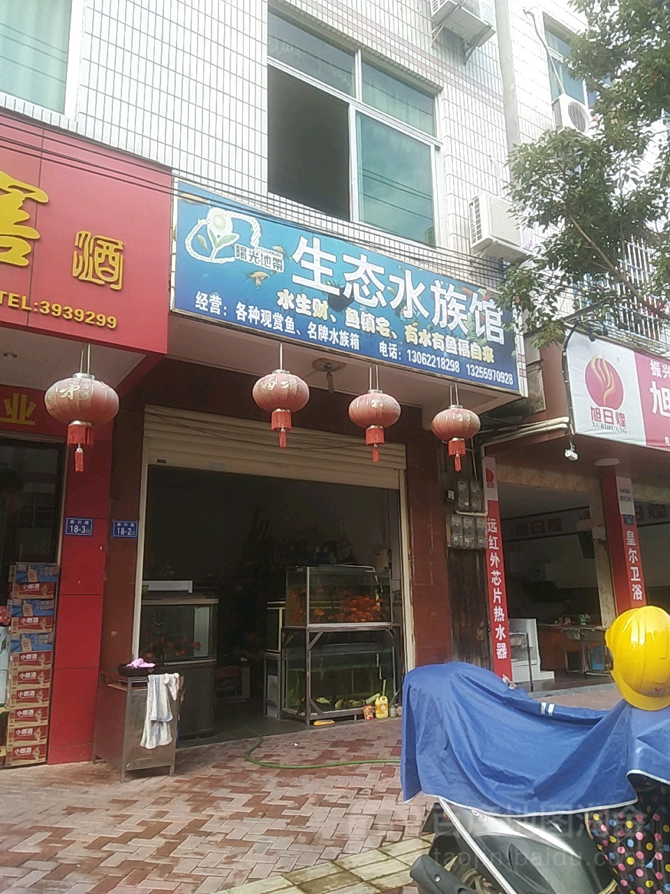 阳光地坉生态水族馆