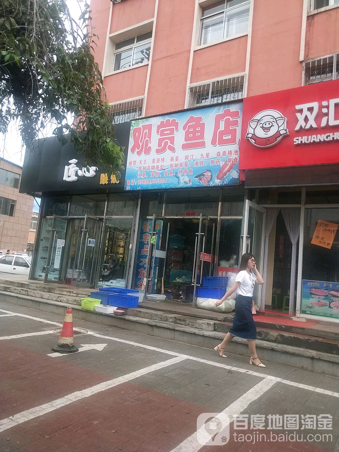 观赏鱼店
