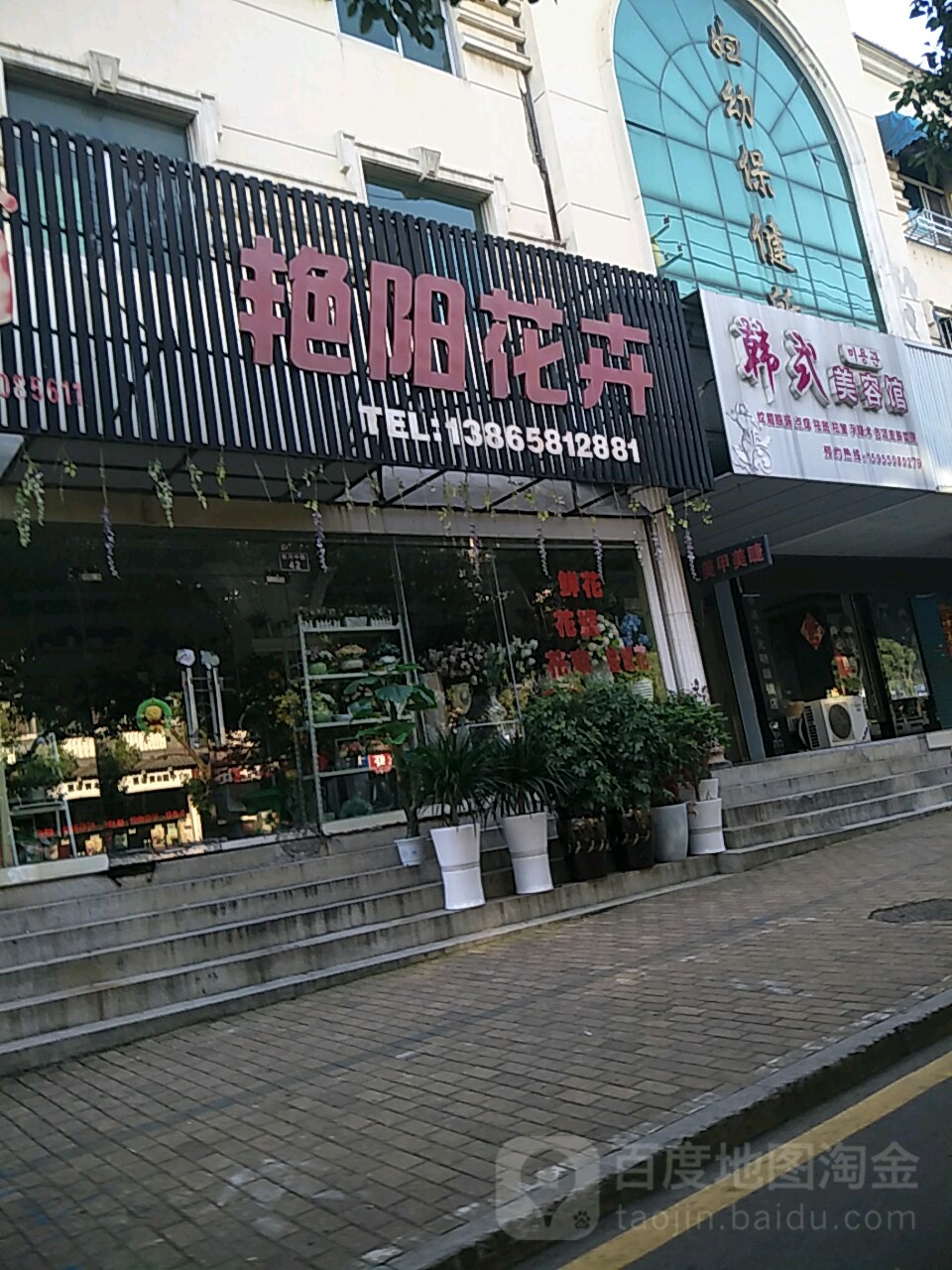 艳阳花卉