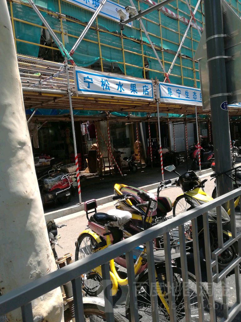 宁松水果专卖店店