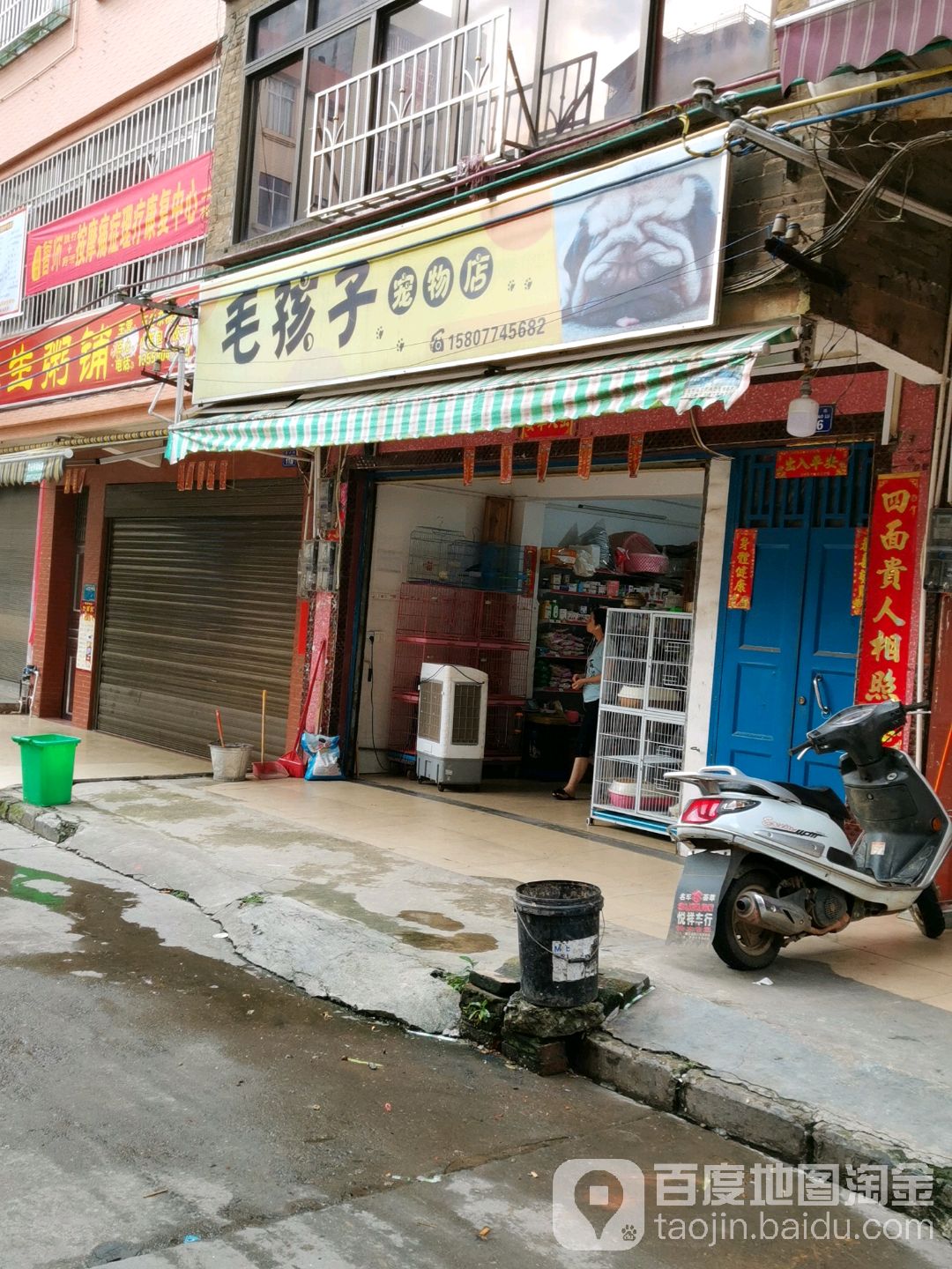 毛孩子宠物店