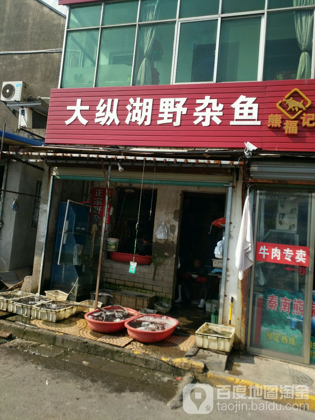 大纵湖野杂鱼