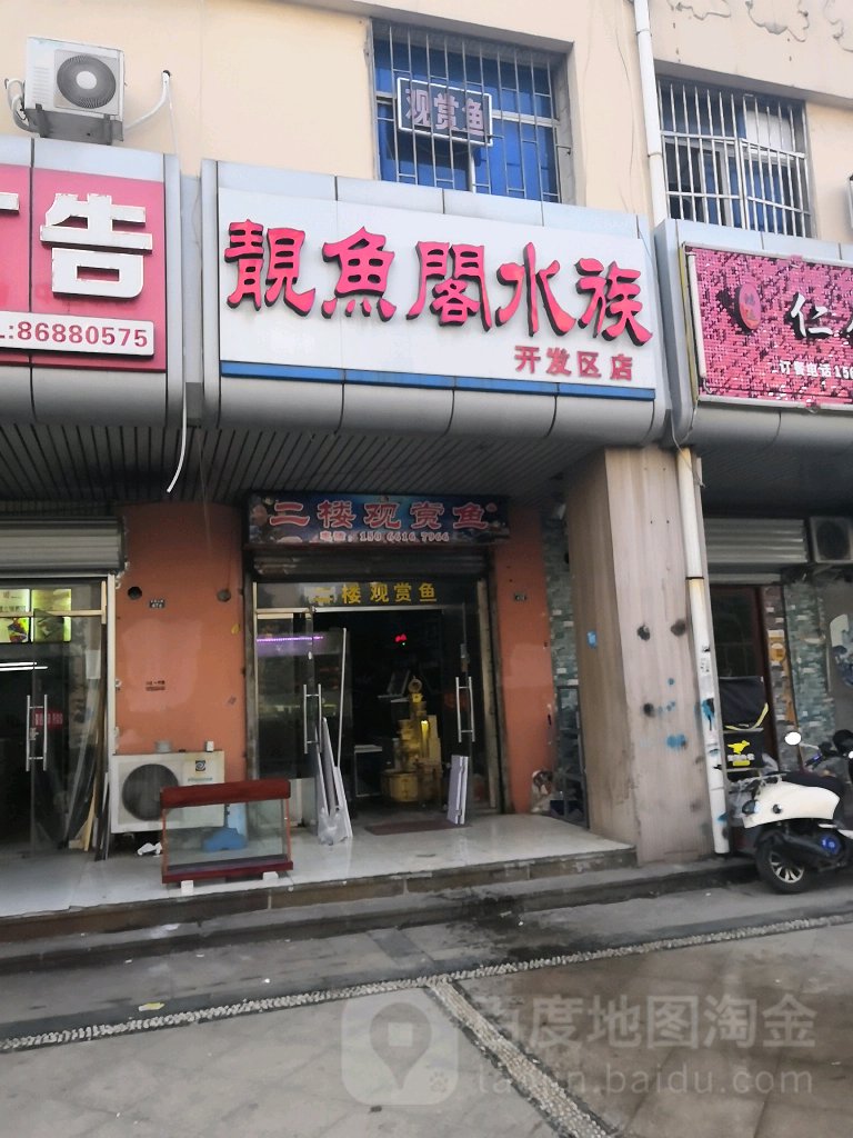 靓鱼阁水族(开发区店)