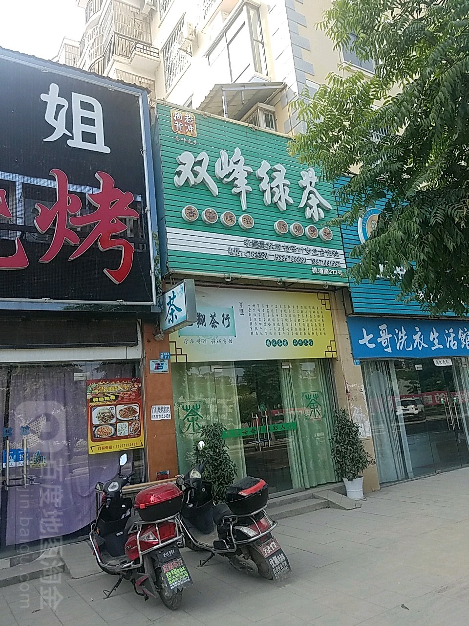 双峰绿茶