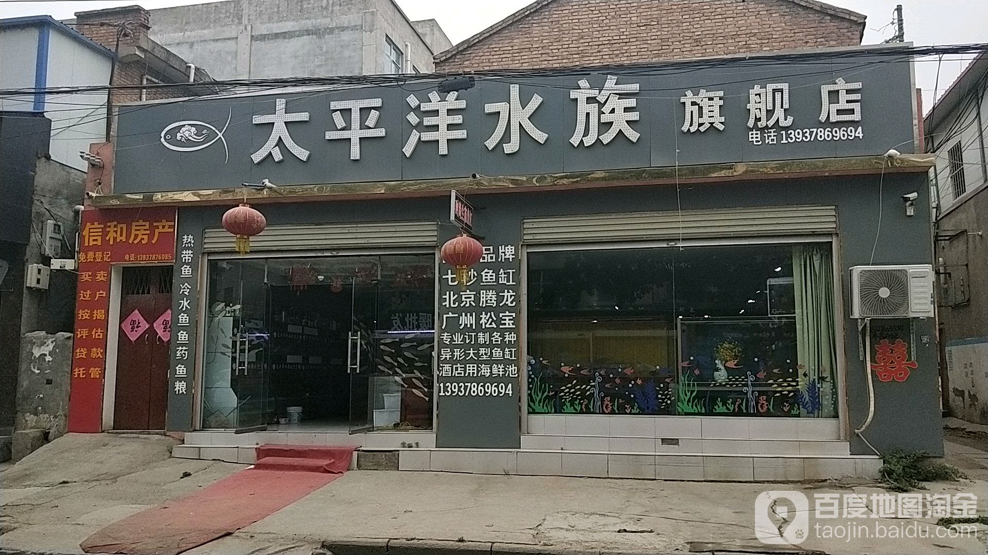 太平洋水族旗舰店
