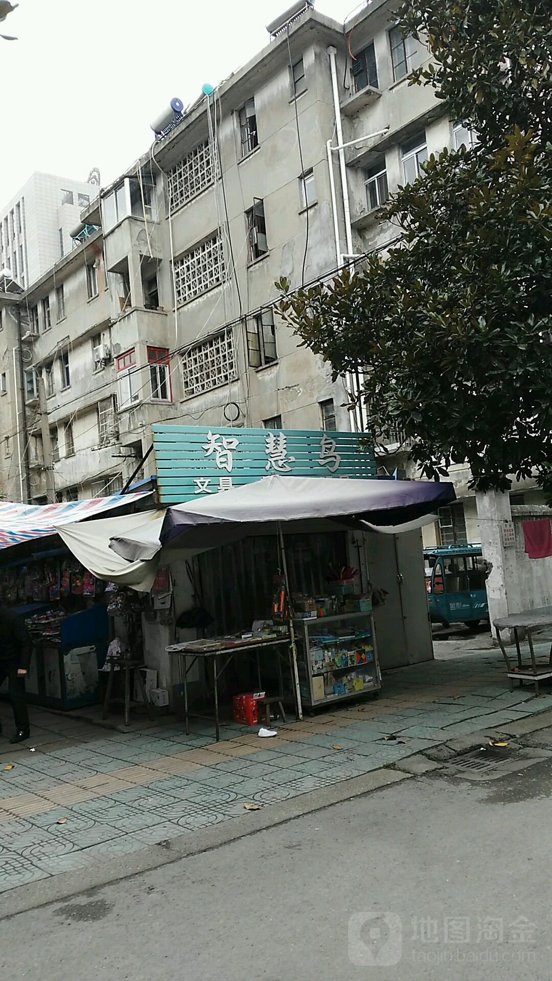 绘制鸟