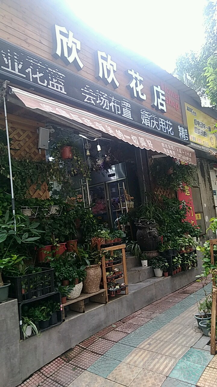 欣欣花店(凤屿店)