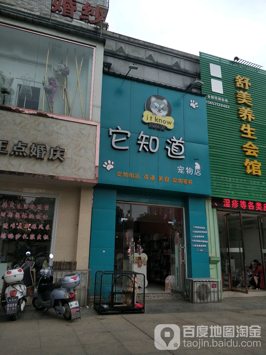 它知道宠物店