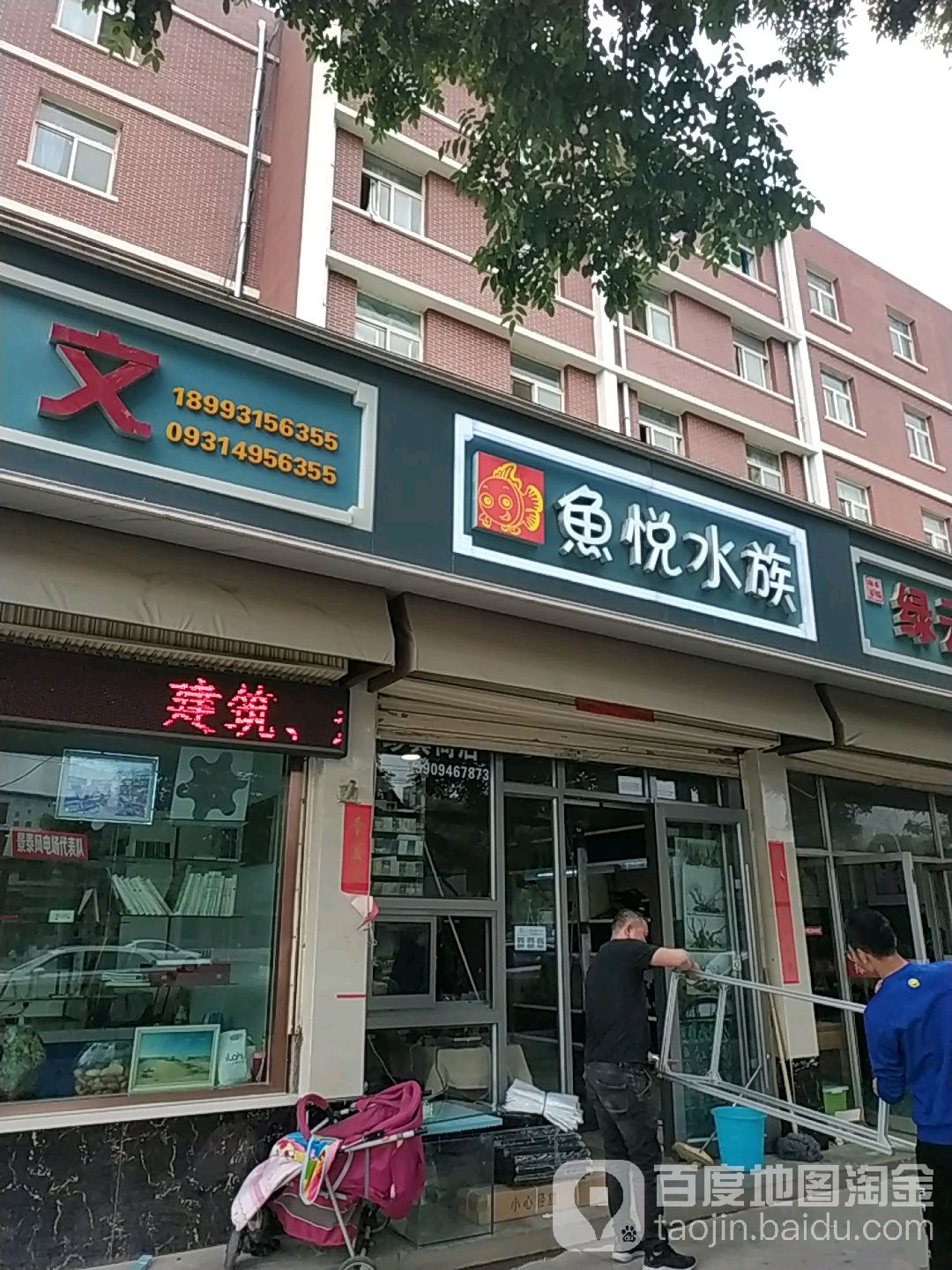 鱼悦水族