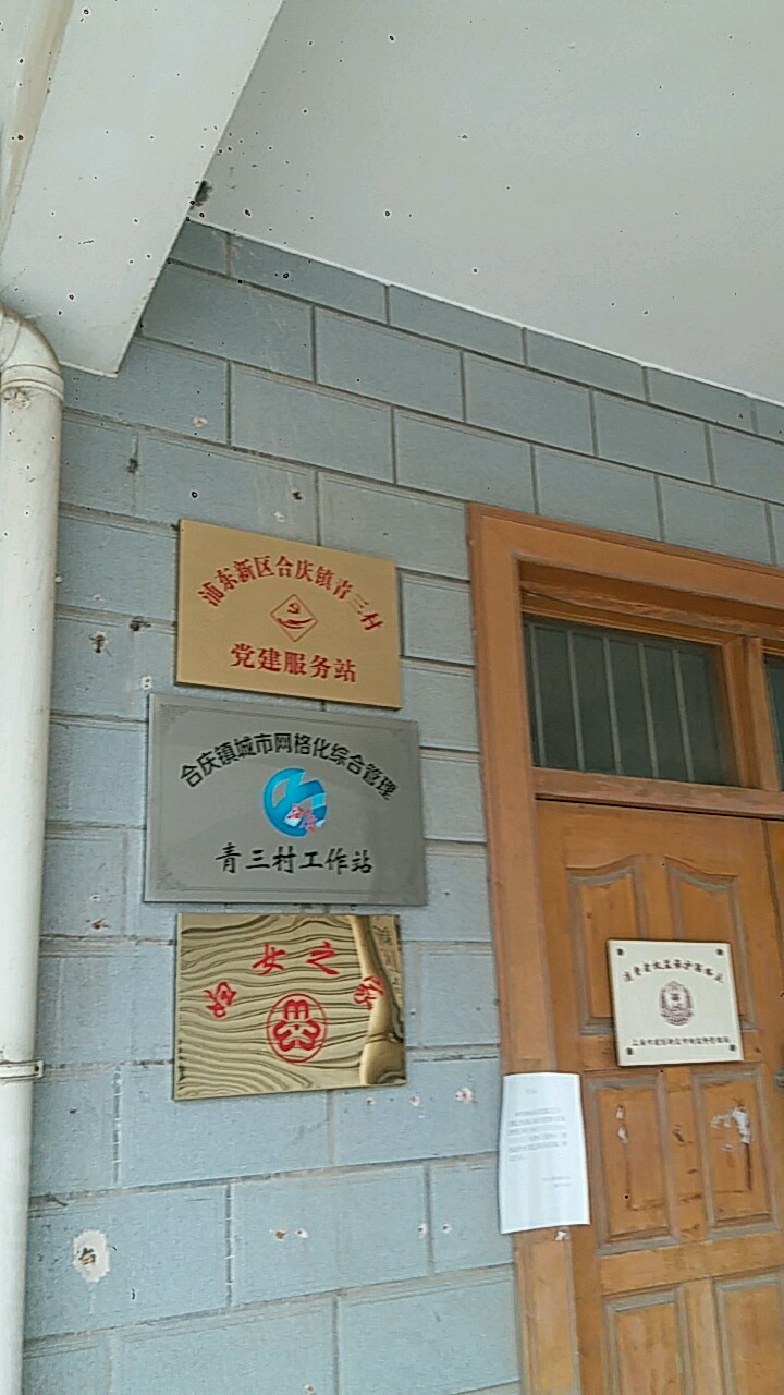 上海市浦东新区合庆镇青三村民委员会(东川公路)