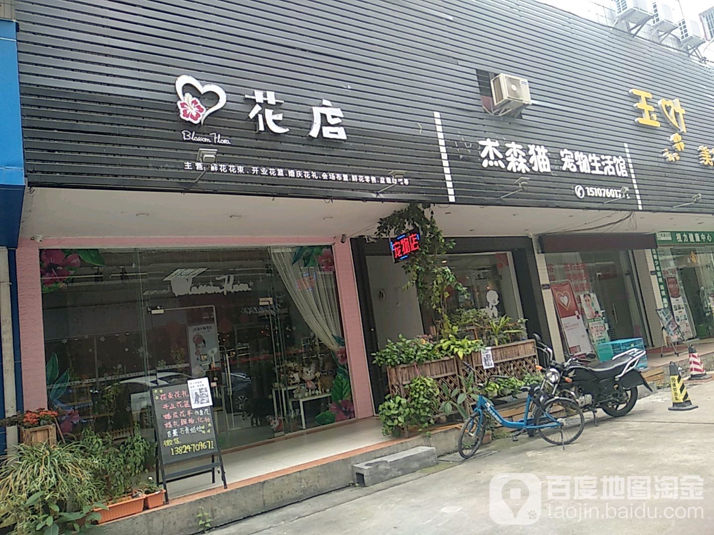 杰森猫宠物生活馆(明珠广场店)