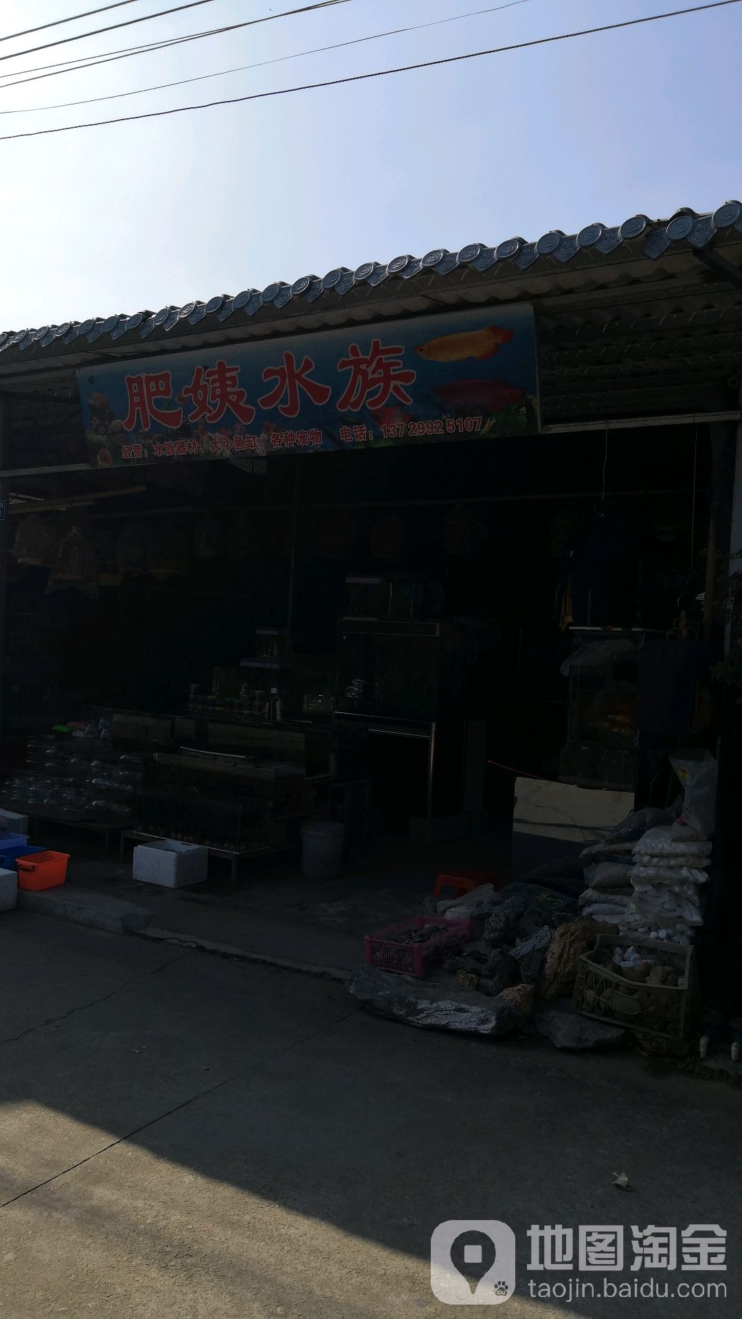 肥姨水族