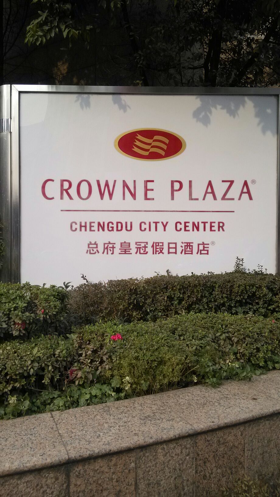 成都总府路皇冠假日酒店-健身中心&游泳池