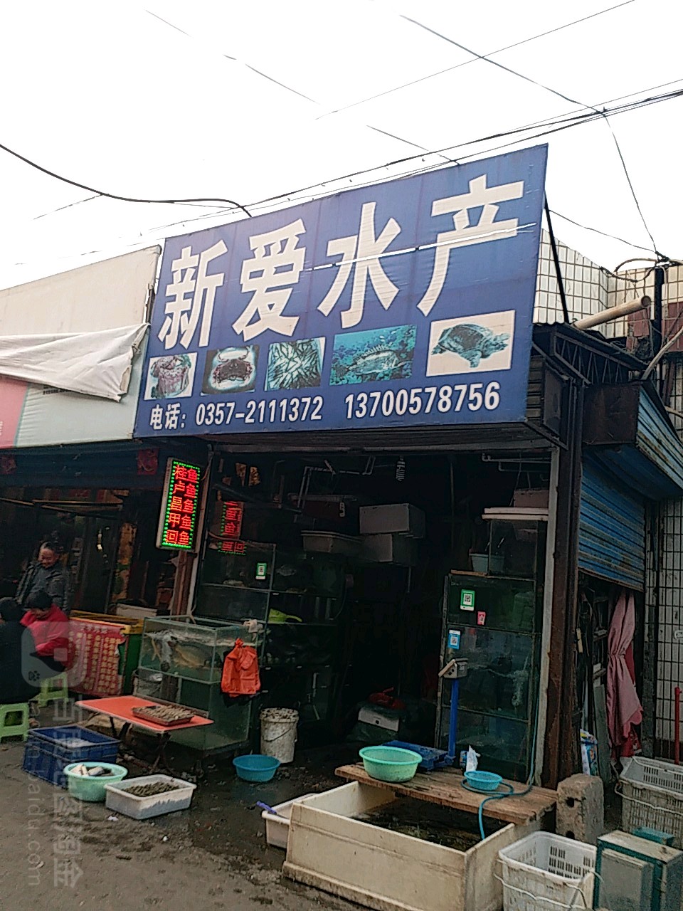 新爱海鲜水产(广宣街店)