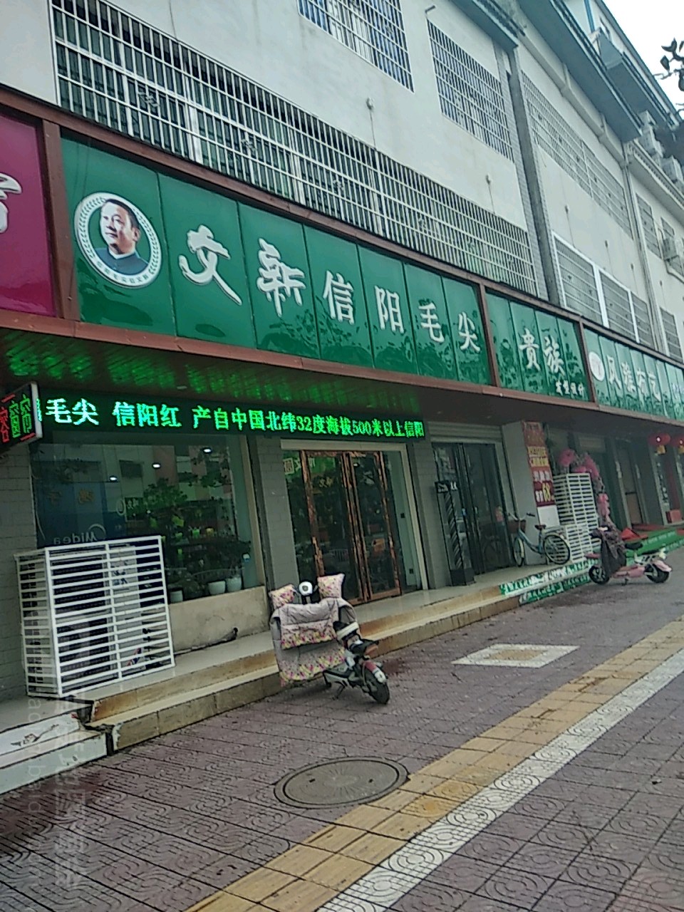 镇平县文新信阳毛尖(健康路店)