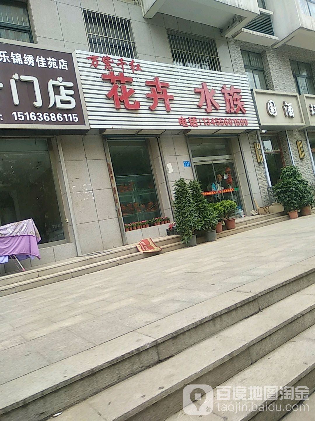 万紫千红花卉