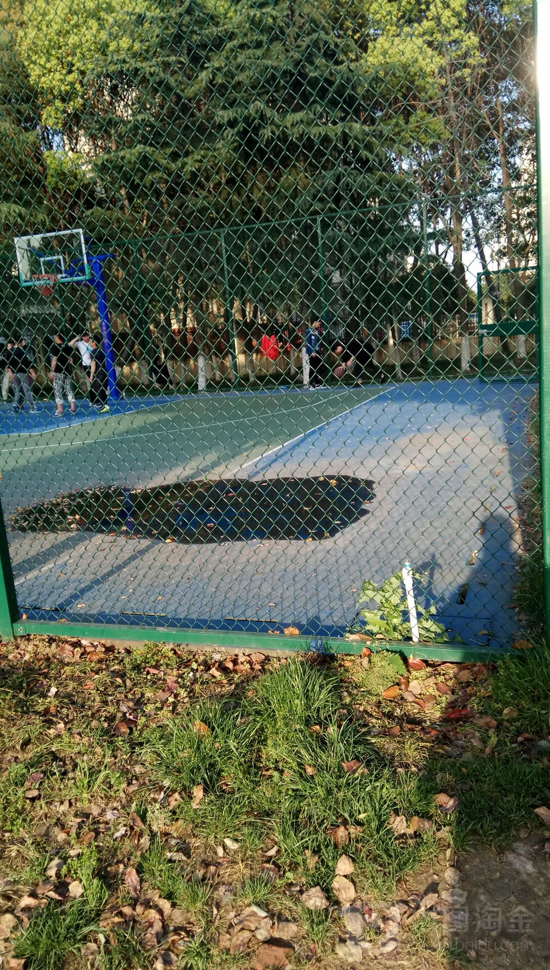 篮球场
