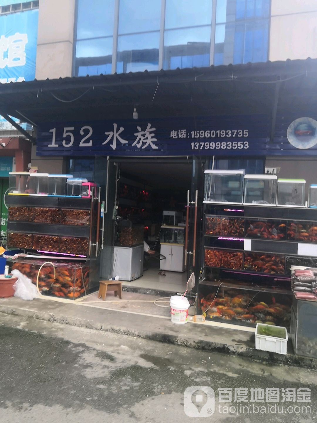 152水族