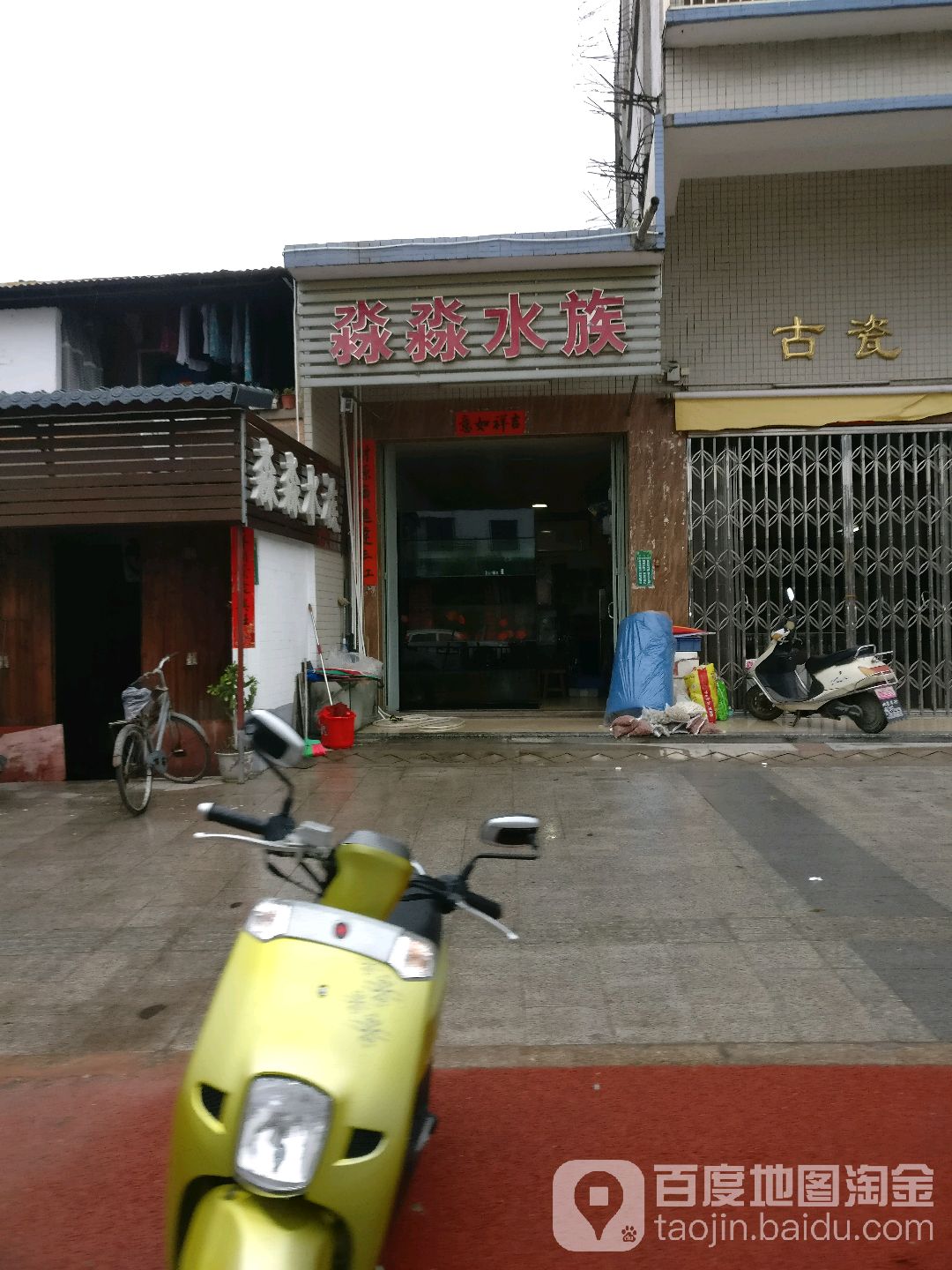 淼淼水族(金溪大道店)