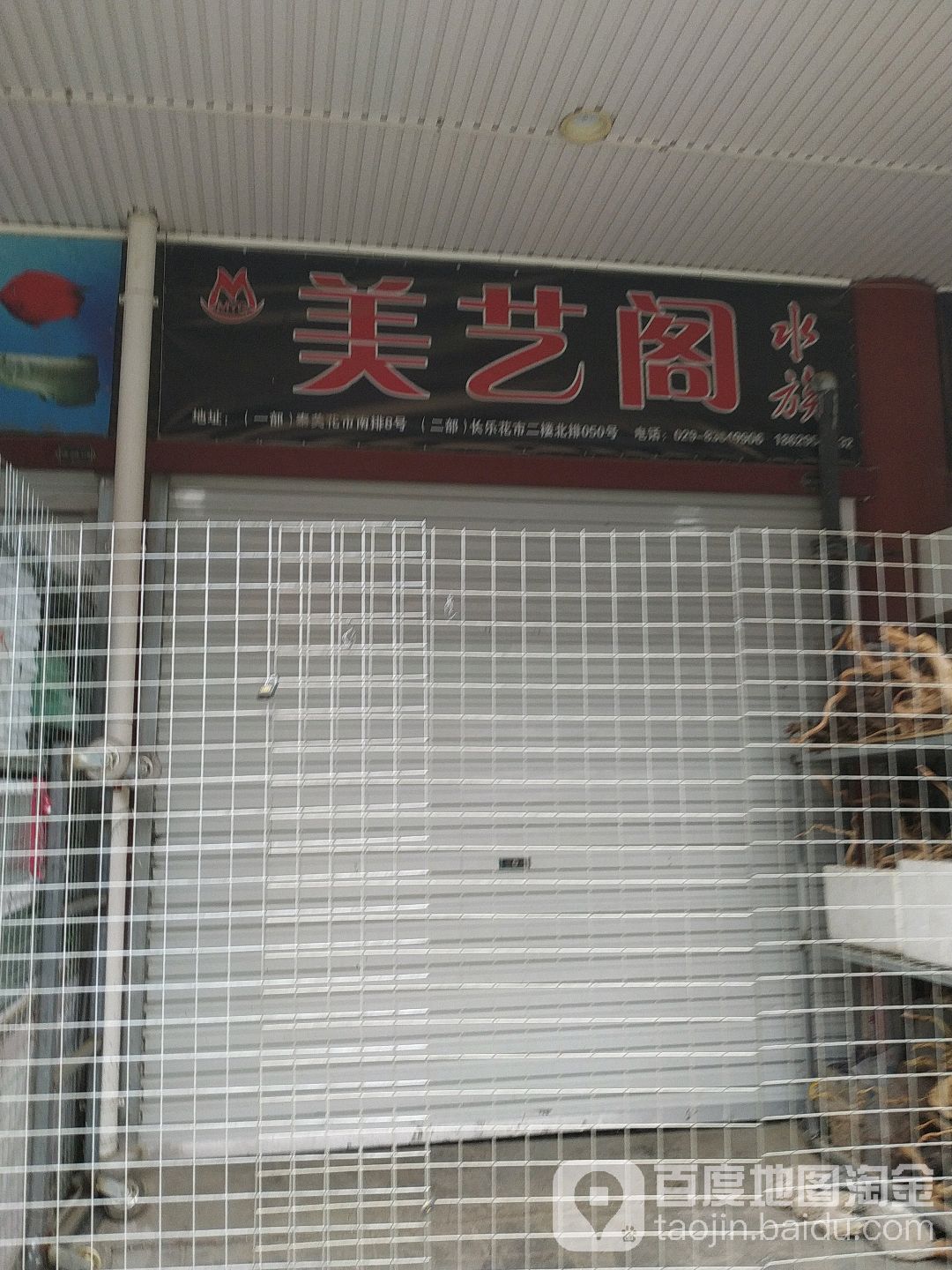 美艺阁水景