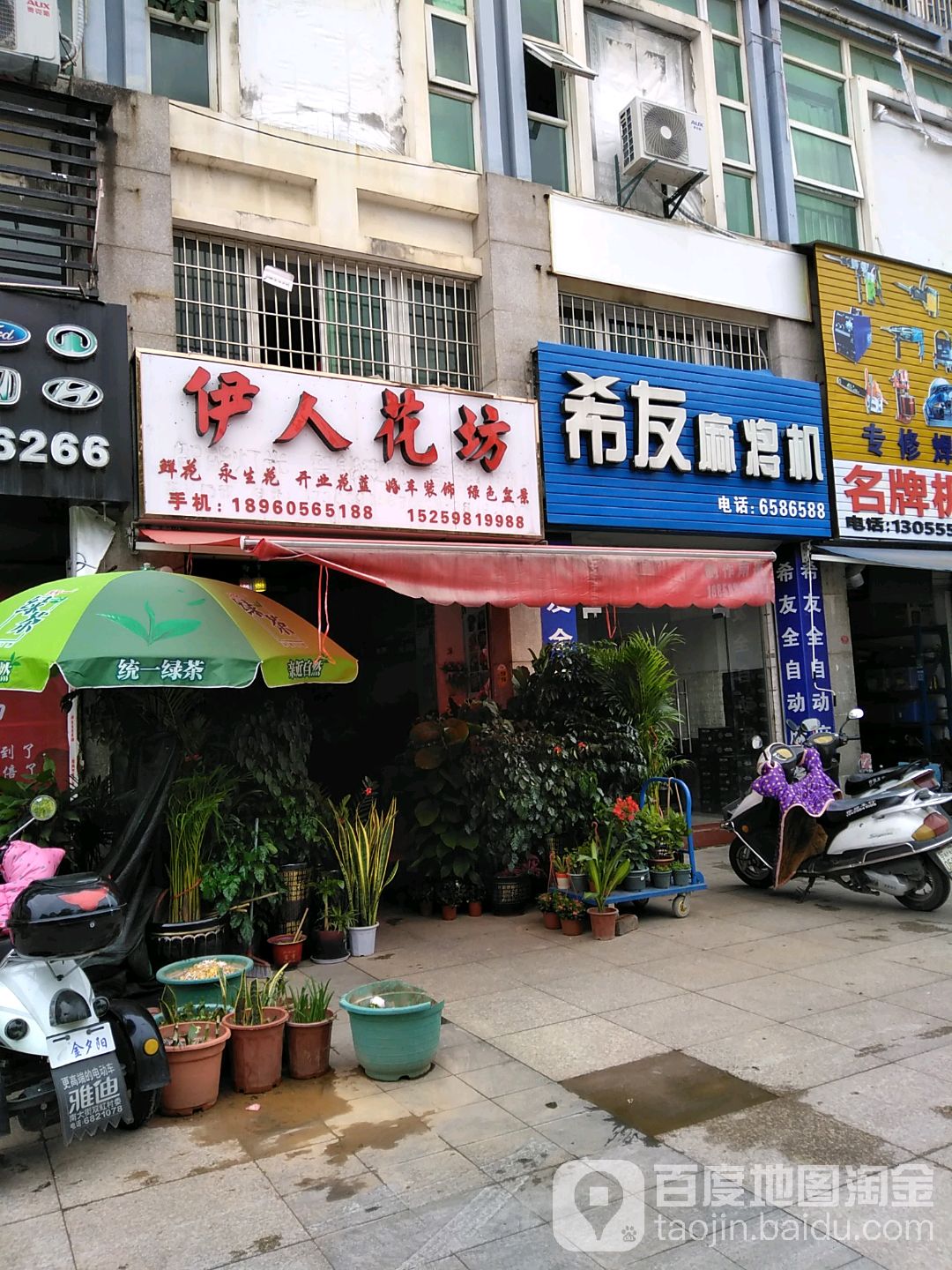 伊人花坊