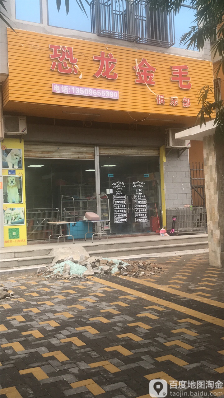 恐龙金毛宠物店