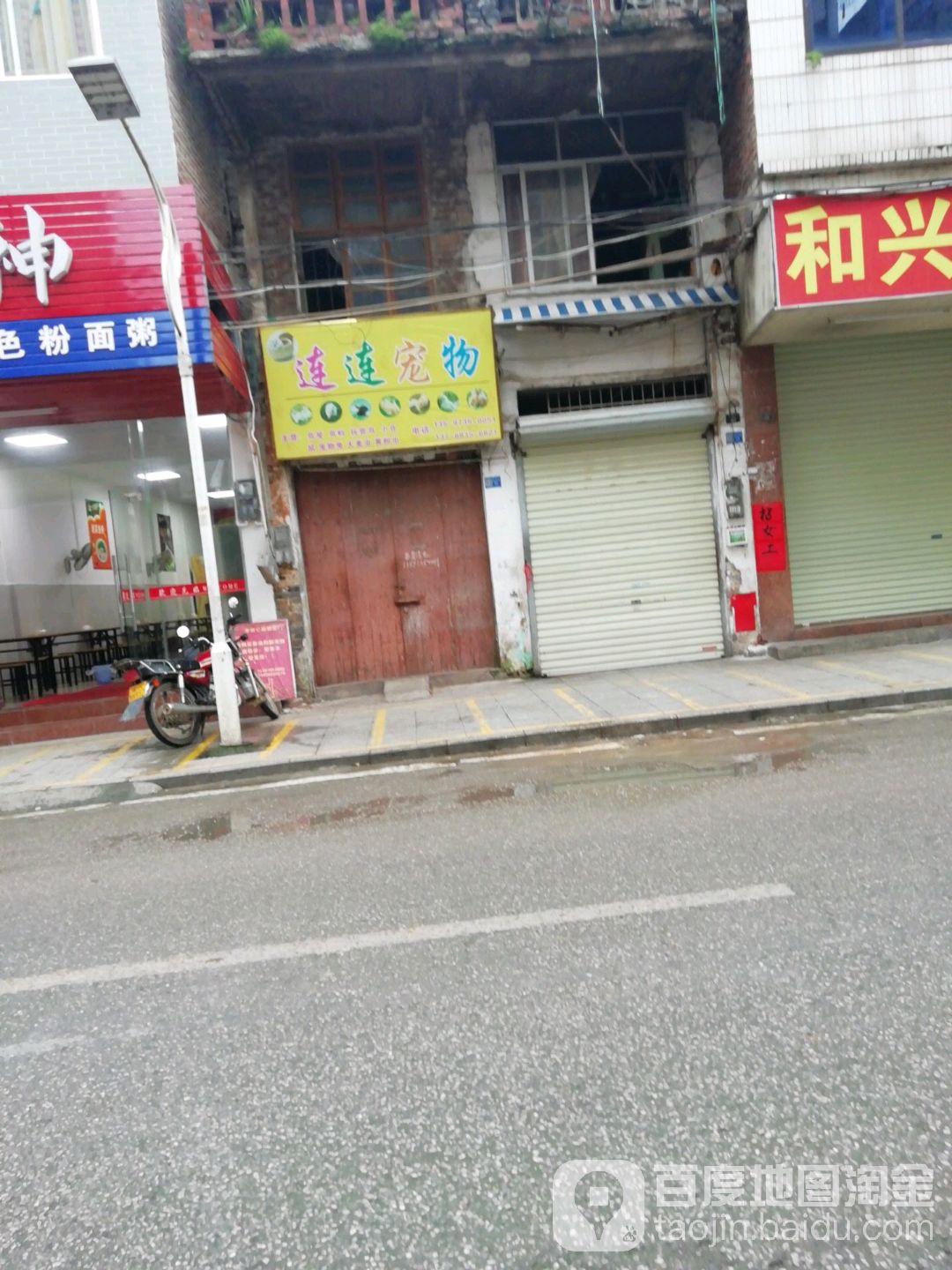 连连宠物