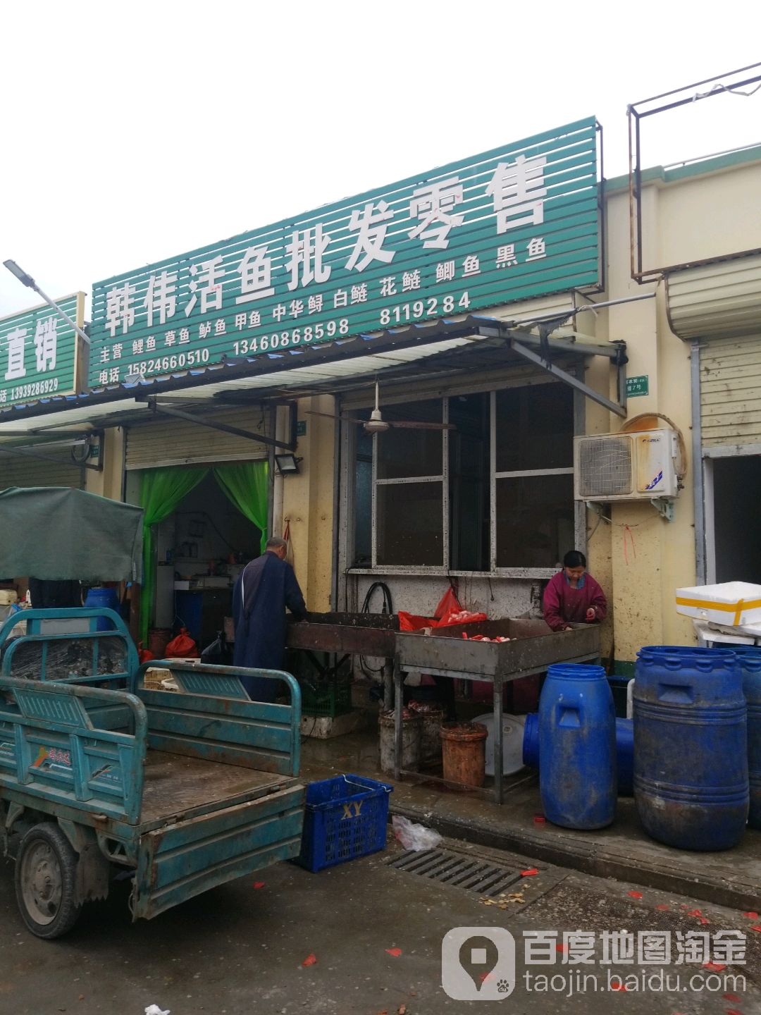 韩伟活鱼批发零食