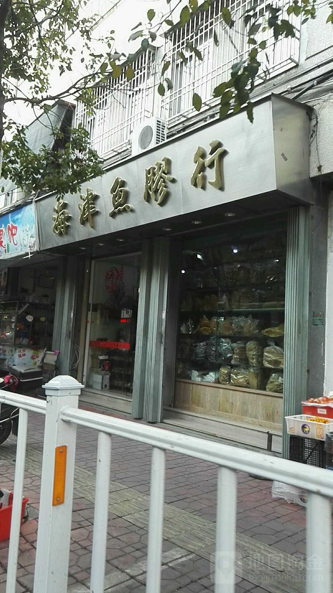 海津鱼胶行