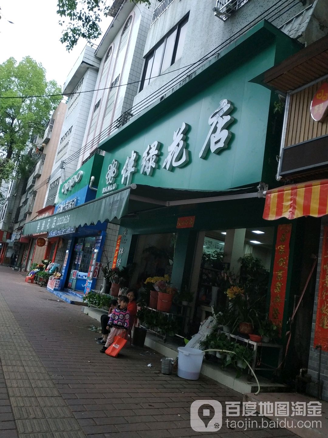 伴绿花店
