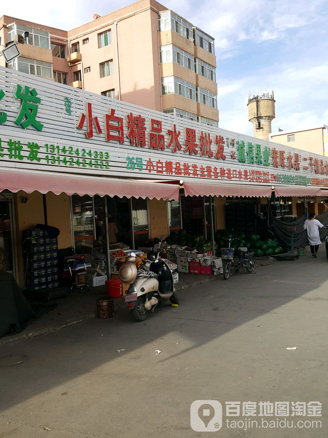 小马鲜果批发