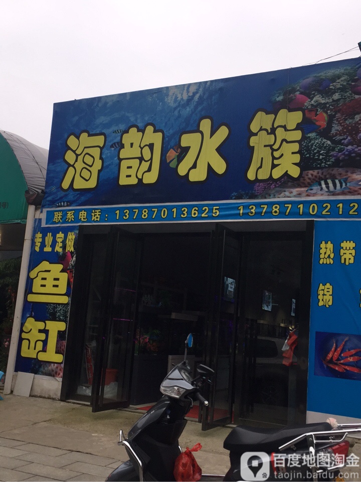 音韵水族(三湘花卉市场店)