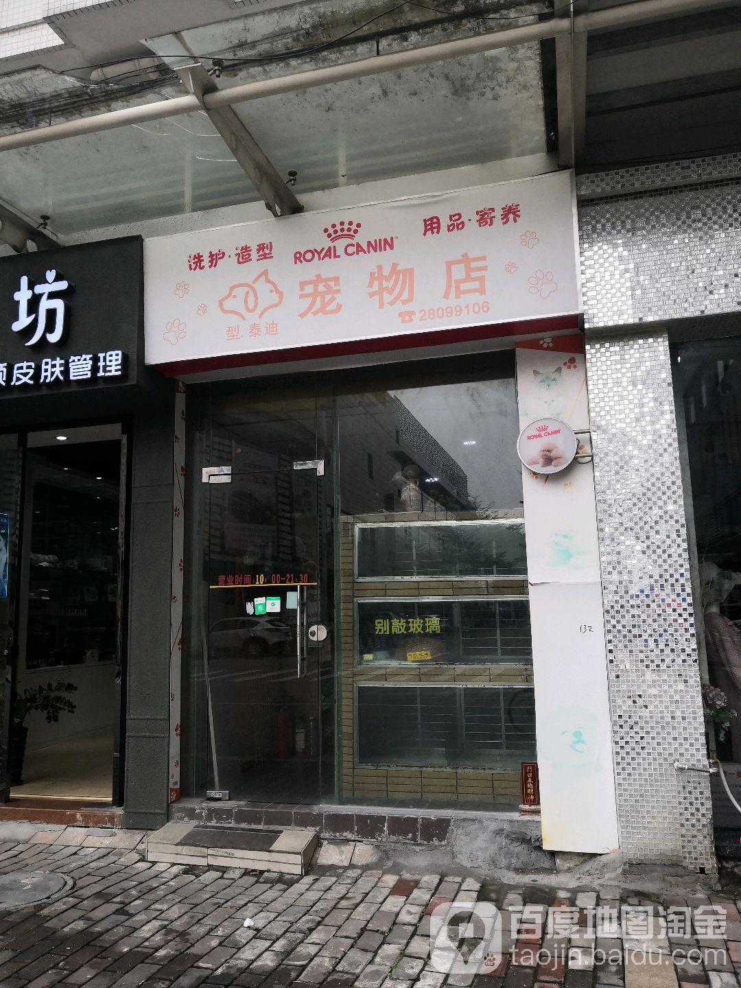 型泰迪宠物店