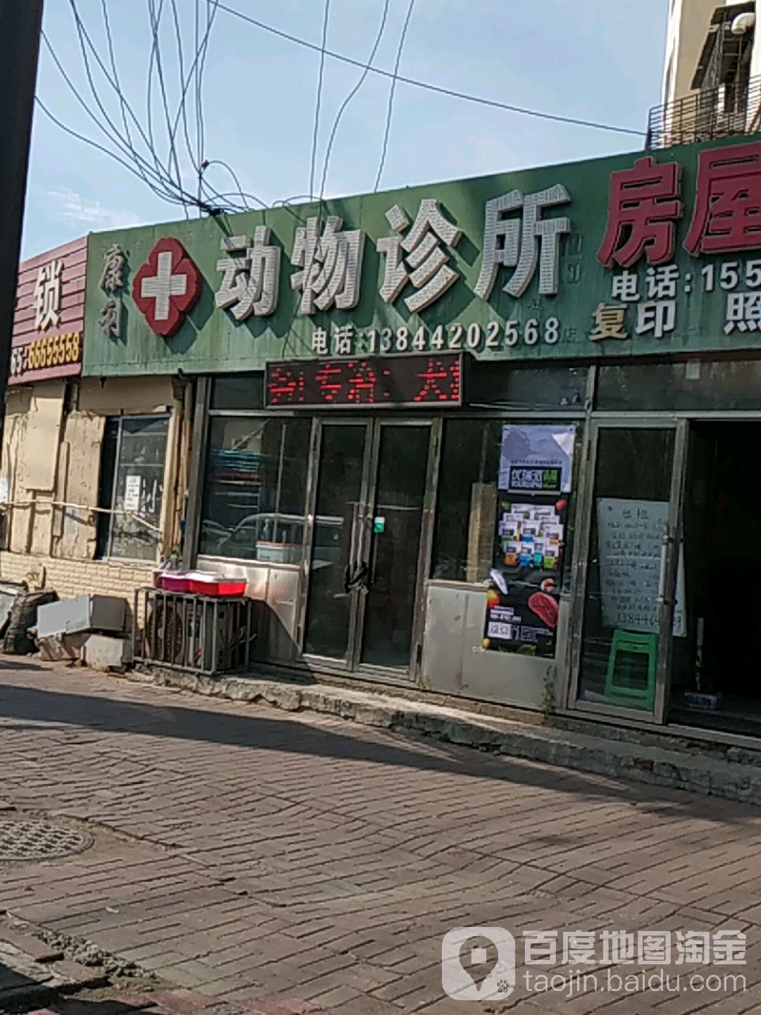 康利动物诊所