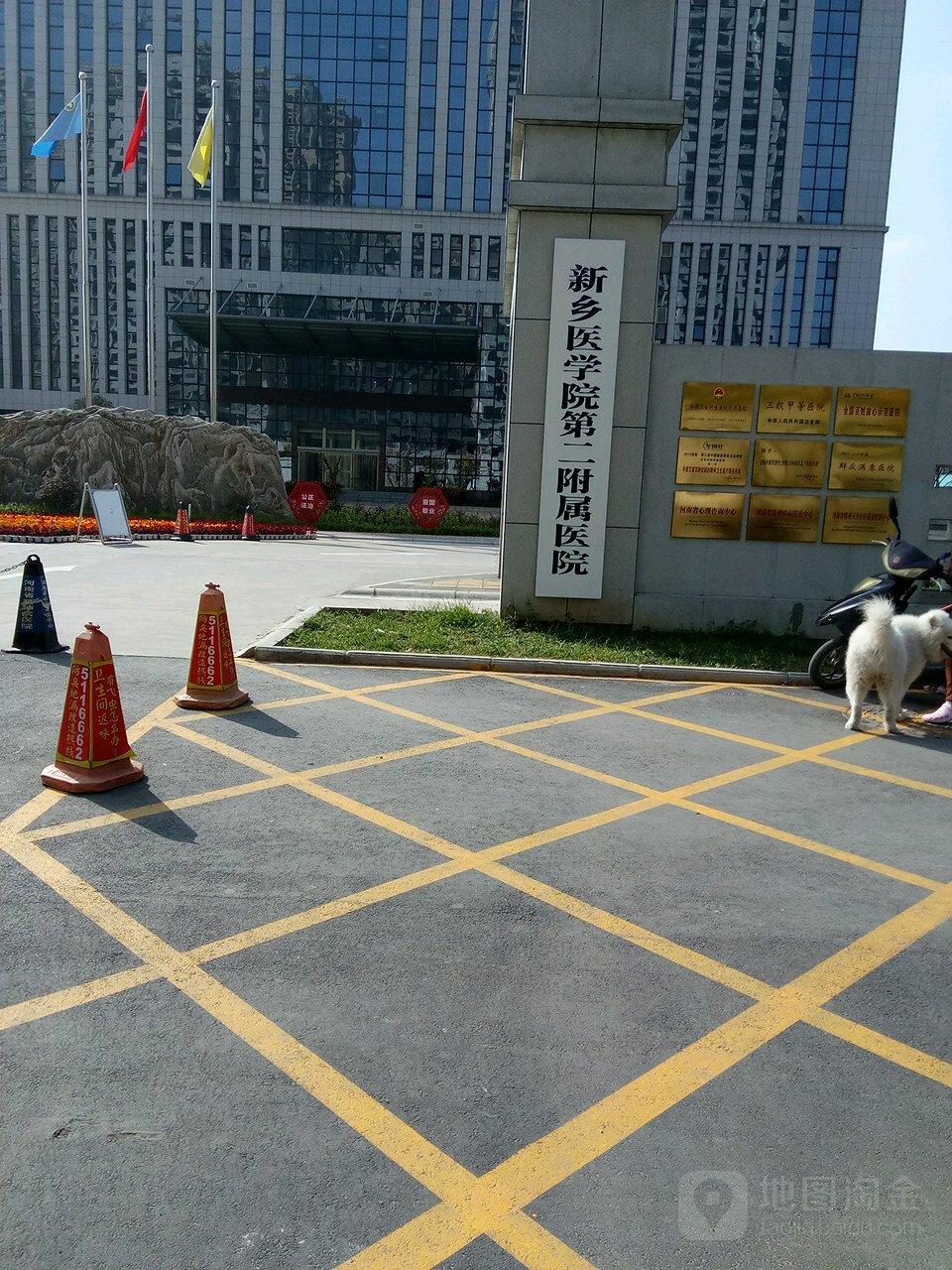 河南省精神卫生中心