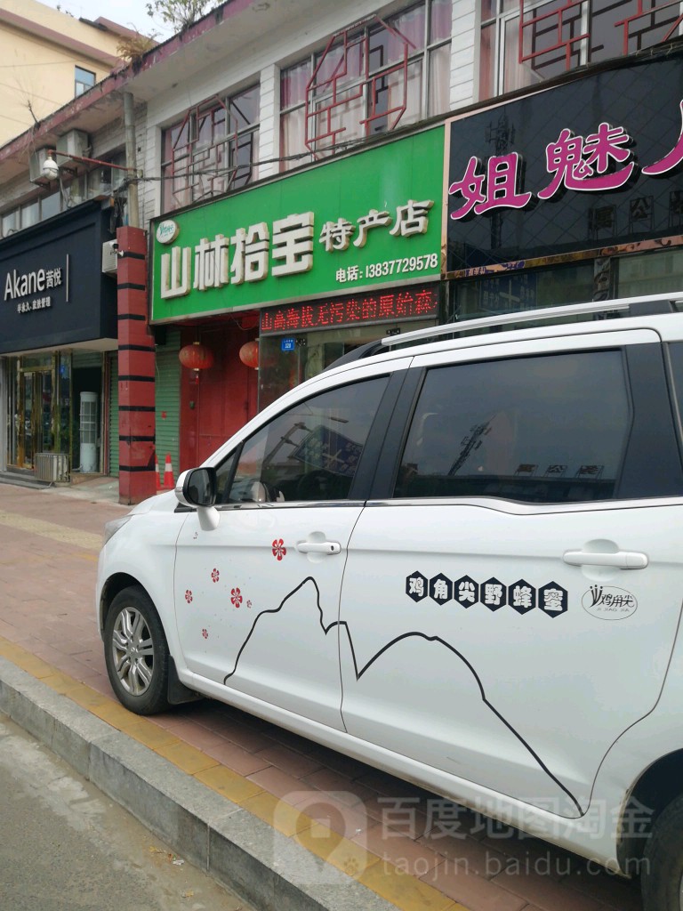 西峡县山林拾宝特产店(特产店)