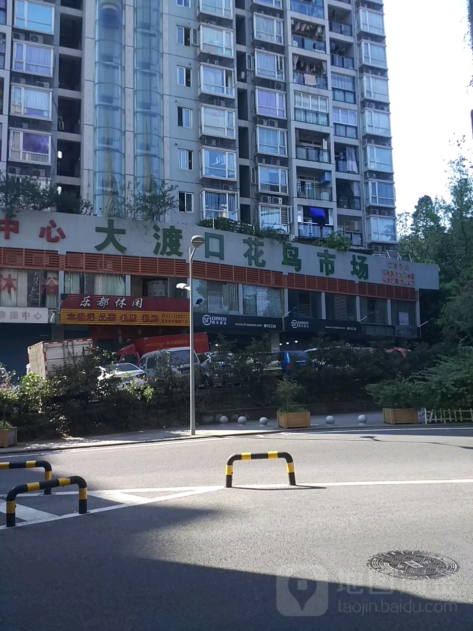 大渡口花鸟市场