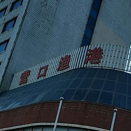 营口鱼港