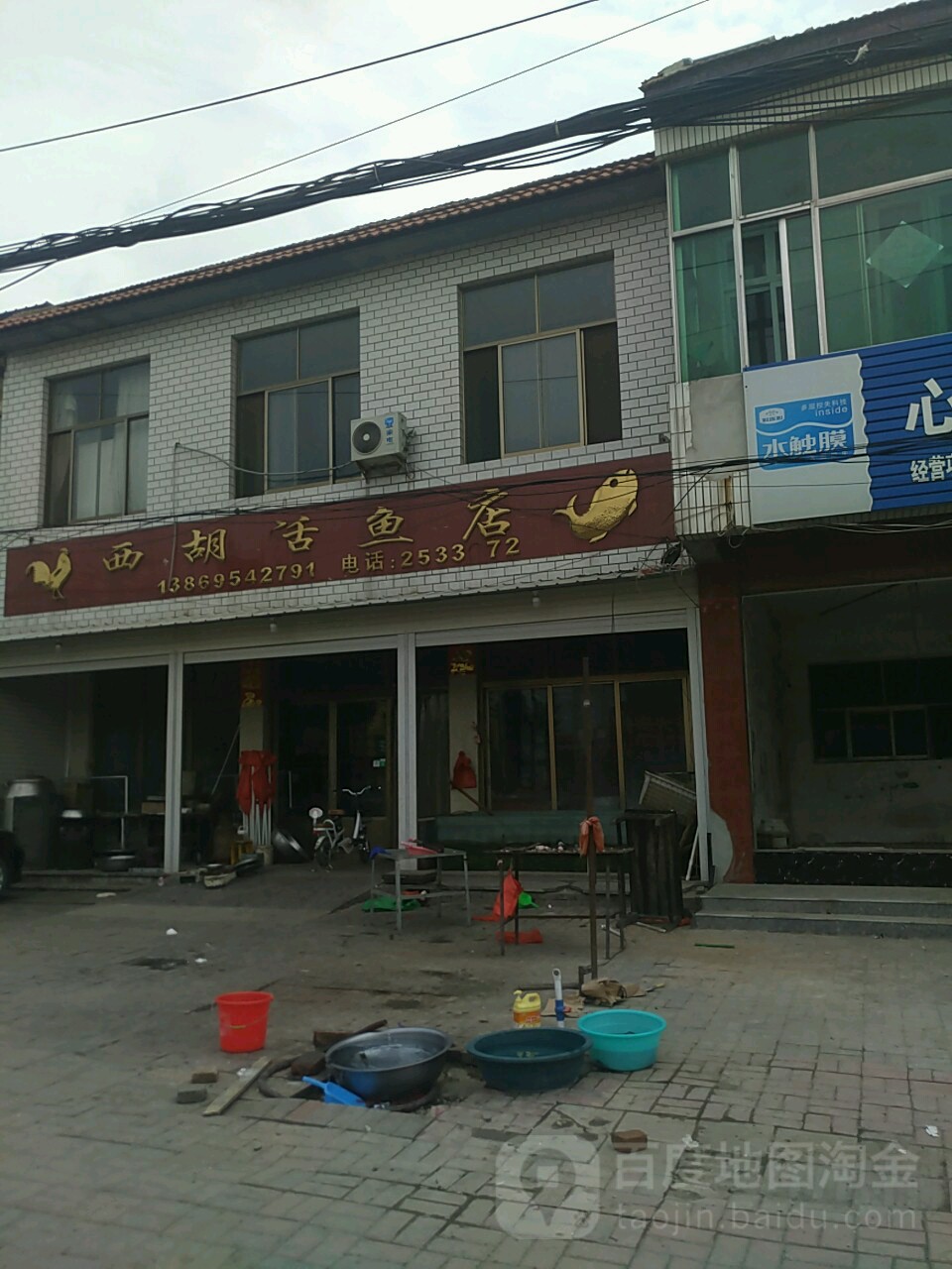 西胡鱼活店