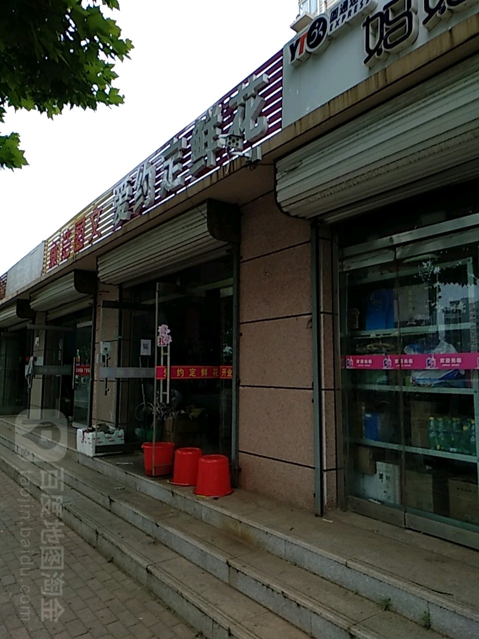 爱约定鲜花