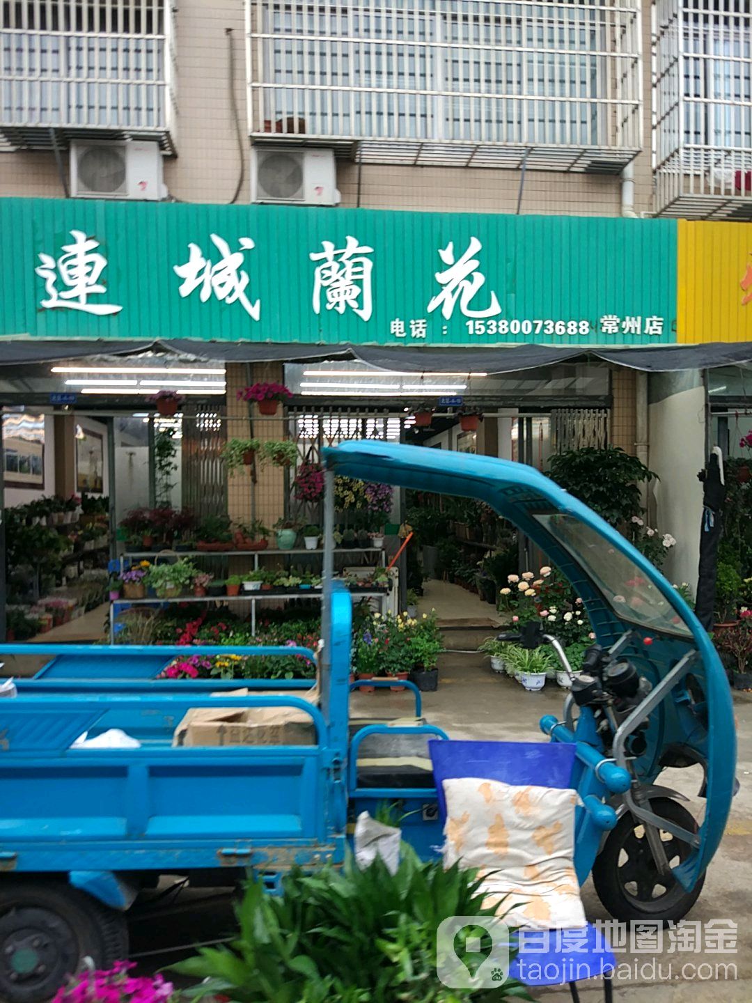 连城兰花(常州店)